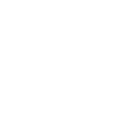 Iconos