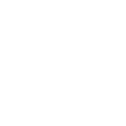 Iconos