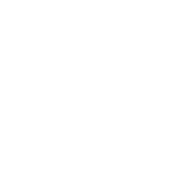 Iconos