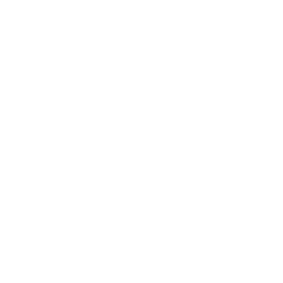 Iconos