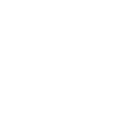 Iconos