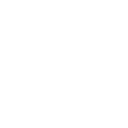 Iconos